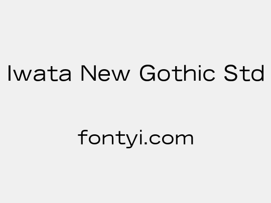 Iwata New Gothic Std