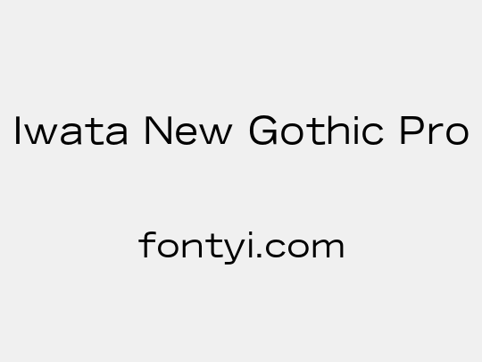 Iwata New Gothic Pro