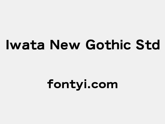 Iwata New Gothic Std