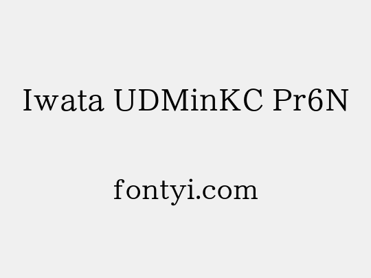 Iwata UDMinKC Pr6N