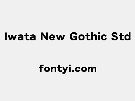 Iwata New Gothic Std
