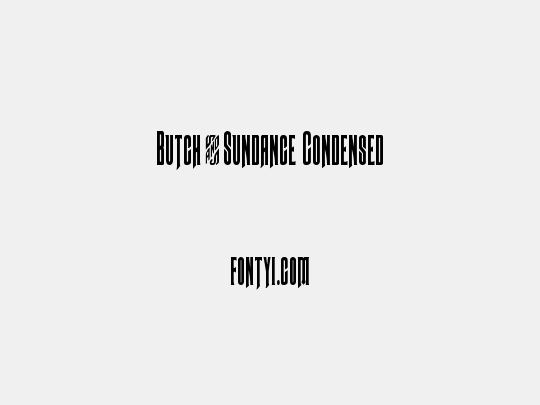 Butch & Sundance Condensed
