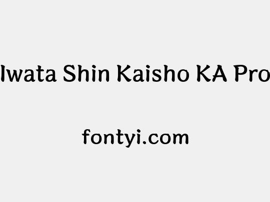 Iwata Shin Kaisho KA Pro