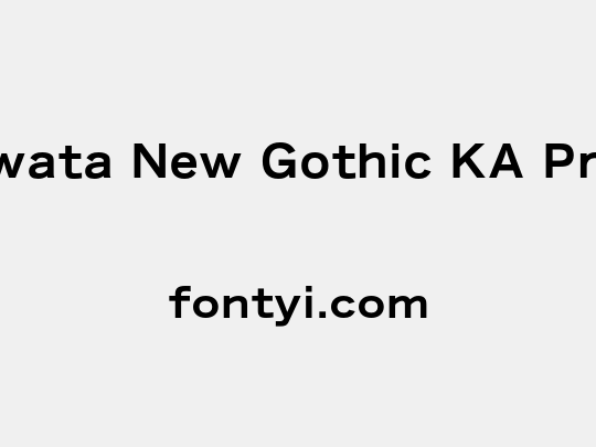 Iwata New Gothic KA Pro
