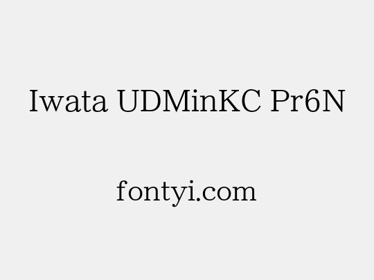 Iwata UDMinKC Pr6N