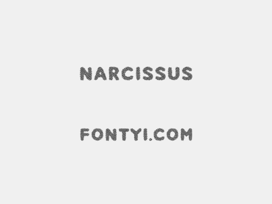 Narcissus