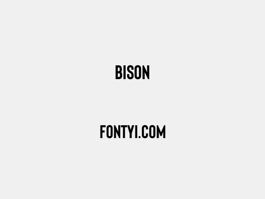 Bison