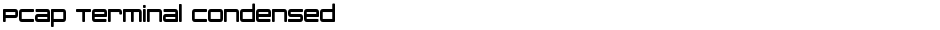 PCap Terminal CondensedDemo