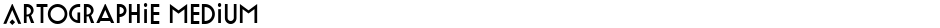 Artographie MediumDemo
