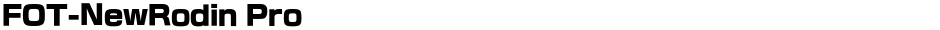 FOT-NewRodin ProDemo