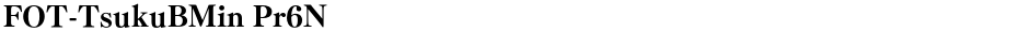 FOT-TsukuBMin Pr6NDemo