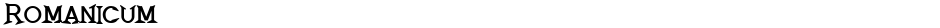 RomanicumDemo