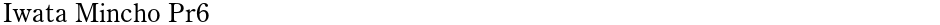 Iwata Mincho Pr6Demo