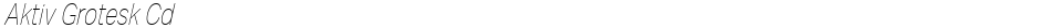 Aktiv Grotesk CdDemo