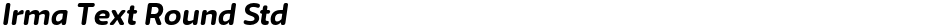 Irma Text Round StdDemo