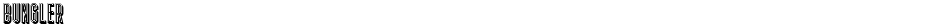 BunglerDemo