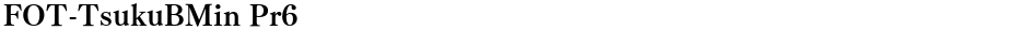 FOT-TsukuBMin Pr6Demo