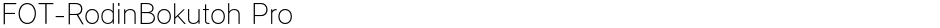 FOT-RodinBokutoh ProDemo