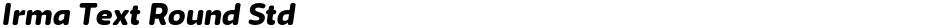 Irma Text Round StdDemo