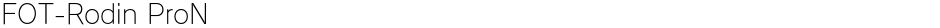 FOT-Rodin ProNDemo