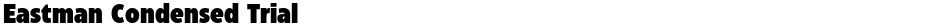 Eastman Condensed TrialDemo