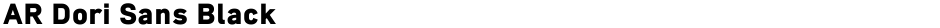 AR Dori Sans BlackDemo