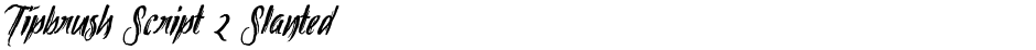 Tipbrush Script 2 SlantedDemo