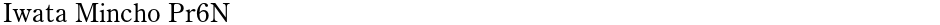 Iwata Mincho Pr6NDemo