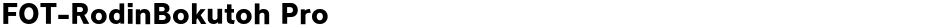 FOT-RodinBokutoh ProDemo