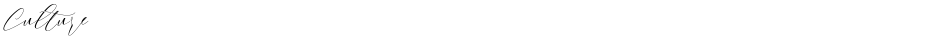 CultureDemo