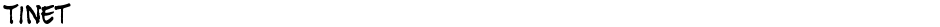 TinetDemo