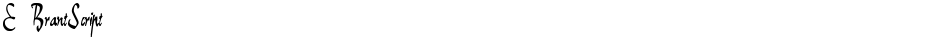 E-BrantScriptDemo