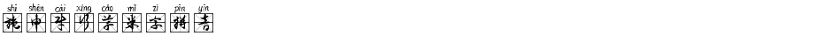 施申财行草米字拼音Demo