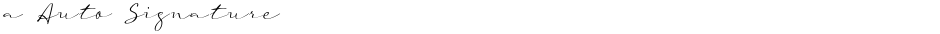 a Auto SignatureDemo