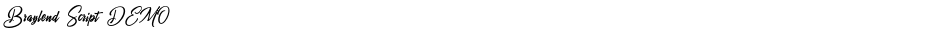 Braylend Script DEMODemo