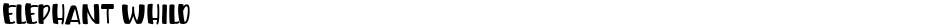 ELEPHANT WHILDDemo
