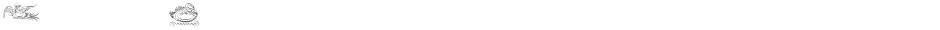 CaligrafiaDivinaDemo