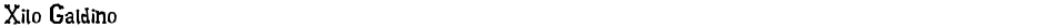 Xilo GaldinoDemo