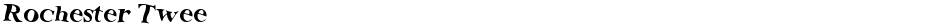Rochester TweeDemo