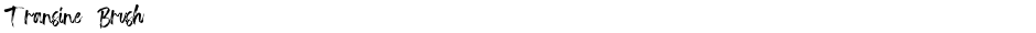 Transine  BrushDemo