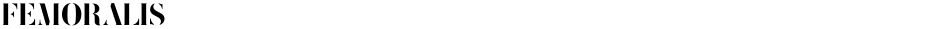 FEMORALISDemo