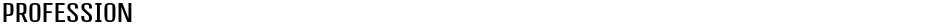 ProfessionDemo