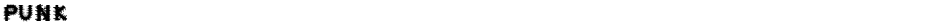 PUNKDemo