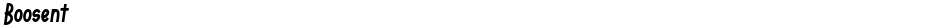 BoosentDemo