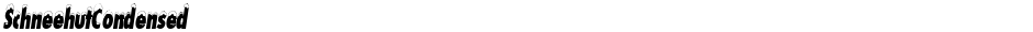 SchneehutCondensedDemo