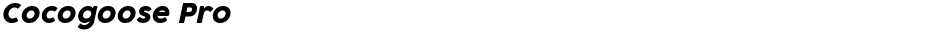 Cocogoose ProDemo