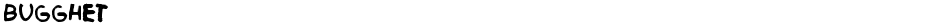BugghetDemo