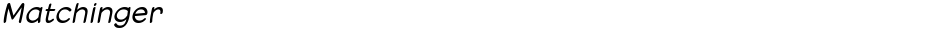 MatchingerDemo