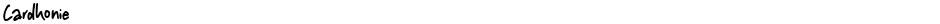 CardhonieDemo
