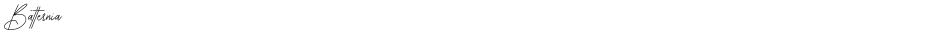 BatterniaDemo